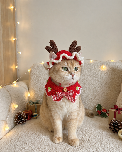 Pet Crochet Hats