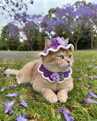 Pet Crochet Hats