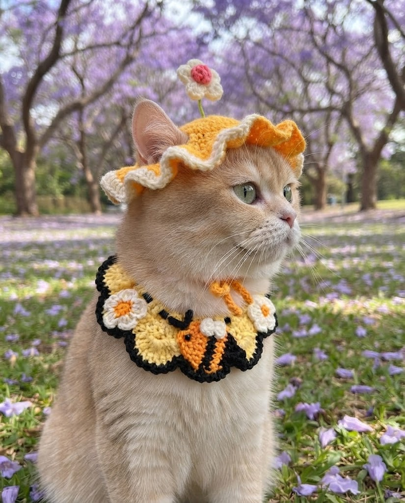 Pet Crochet Hats