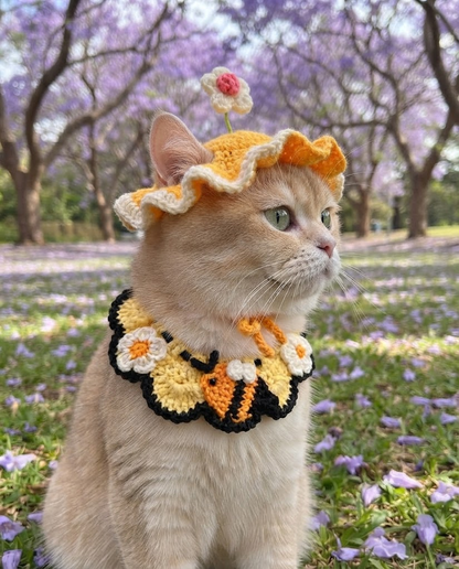 Pet Crochet Hats