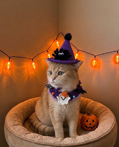 Pet Crochet Hats